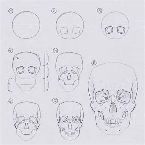 How To Draw A Realistic Human Skull