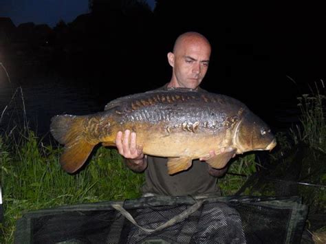 River Carp Fishing: 4 tips for success | Carp fishing, Fish, Sea angling