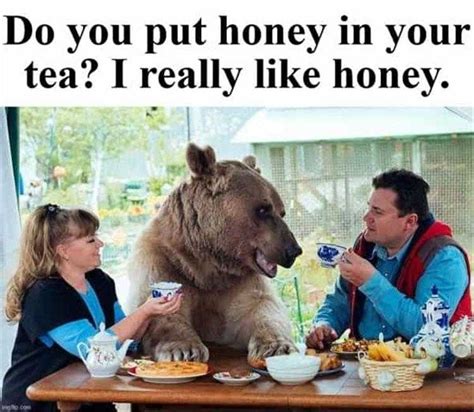Top 37 Hysterical Animal Pictures With Captions