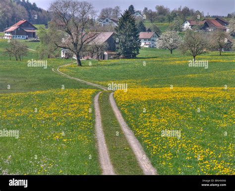 Switzerland Municipality Of Hombrechtikon Canton Of Zurich Landscape