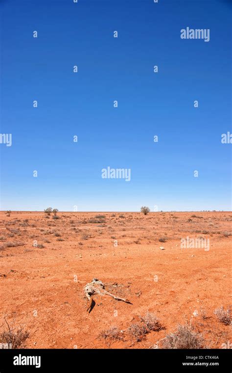 Australian Red Desert Outback Is Dry And Barren Stock Photo Alamy