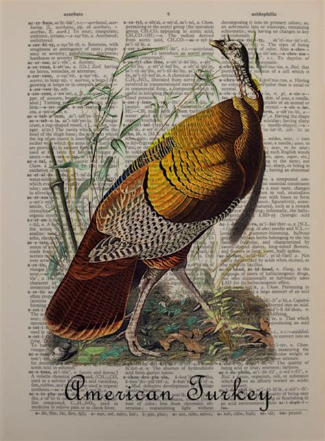 vintage turkey print thanksgiving audubon wall art home etsy