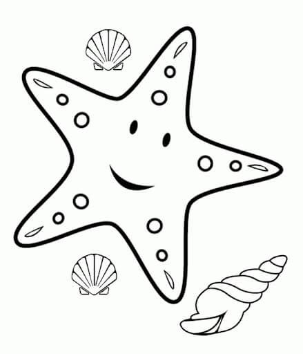 Estrellas De Mar Y Caracoles Marinos Conchas Marinas Para Colorear Imprimir E Dibujar
