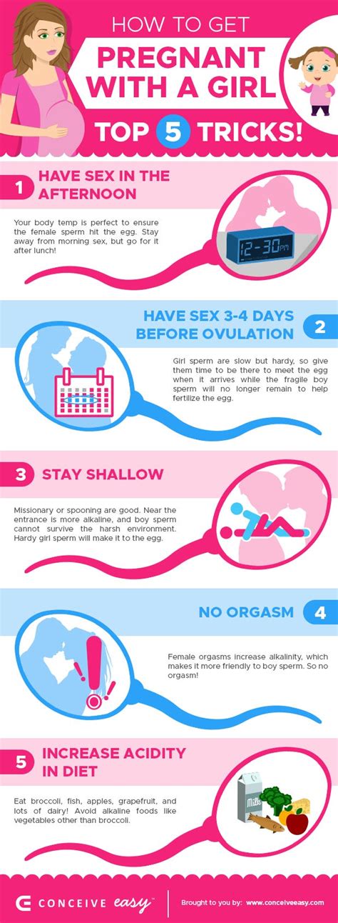 Top 5 Tricks How To Get Pregnant With A Girl Infographic By Conceive