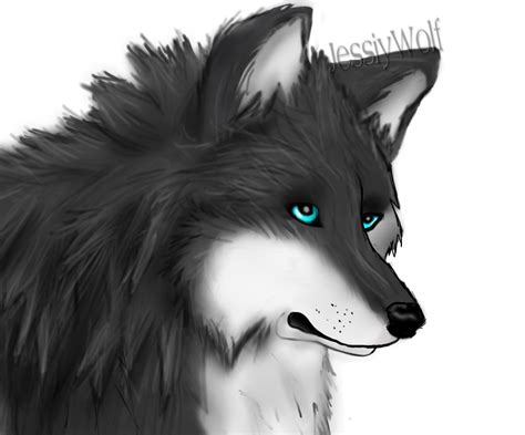 Grey Wolf By Jessiywolf On Deviantart