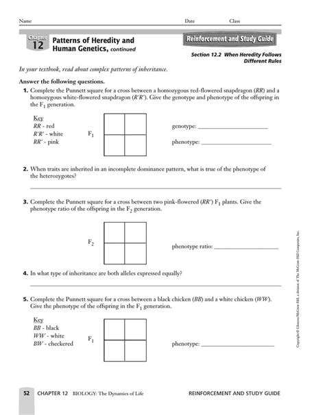 Patterns Of Inheritance Worksheet Answers | Scientific method worksheet