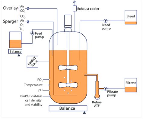 Set Up Of A Concentrated Perfusion Or Fed Batch Set Up Using The