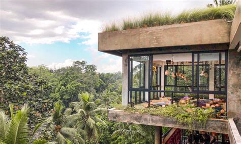Ubud Yoga Centre in Bali - Info & Pricing | FitTripper