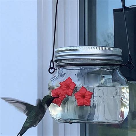 Jolly Mason Jar Hummingbird Feeder With Three Feeding Ports Outside