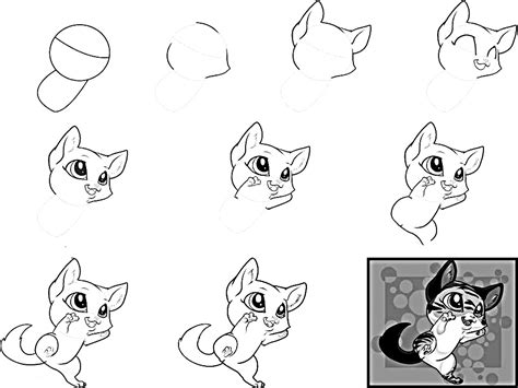 How To Draw Anime Cat 10 Step By Step Drawing