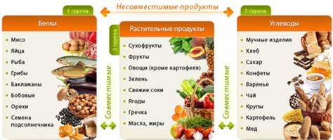 Меню при раздельная диета