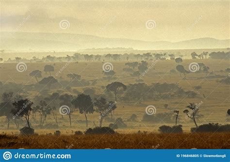 Foggy Savannah At Masai Mara Park In Kenya Stock Image Image Of