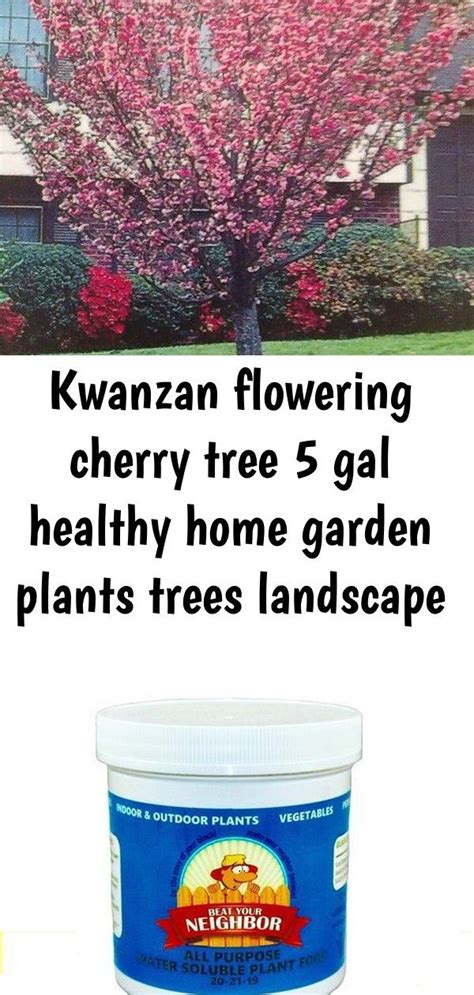 Cherry Tree Fertilizer