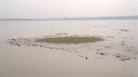 Rana pratap sagar c.nagarjuna sagar d. Maharana Pratap Sagar Lake - Pong Lake, Himachal Pradesh ...