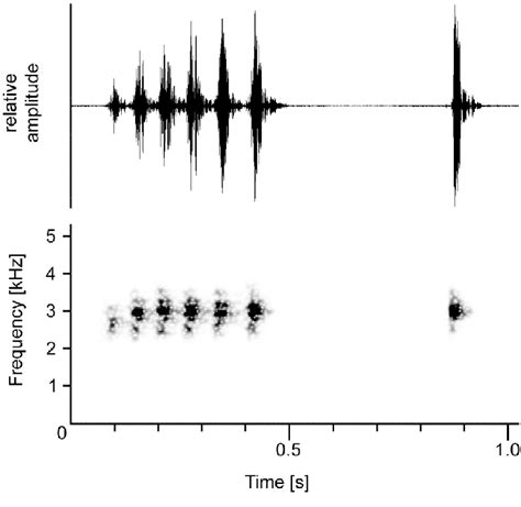 Waveform Top And Corresponding Audiospectrogram Bottom Of A Typical