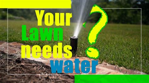Are You Watering Your Lawn Correctly Youtube