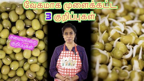 Hence direct translation of this phrase will sound weird. 3 Tips for Fast Sprouting - in Tamil | Recipe Links ...