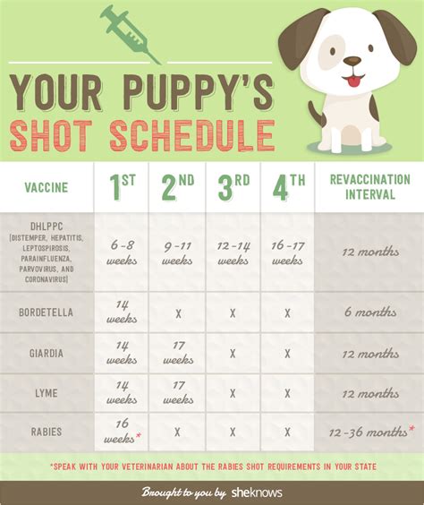 Puppy Vaccination Schedule Printable