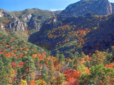 Because elevations climb up to 8,000+ feet, weather can vary dramatically. Mountain Pictures: Guadalupe Mountains National Park