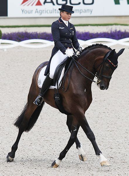 Profile page of athlete dorothee schneider disciplines: Dorothee Schneider and Showtime, one of the 3 Germans to score 80% in the Nations Cup Grand Prix ...