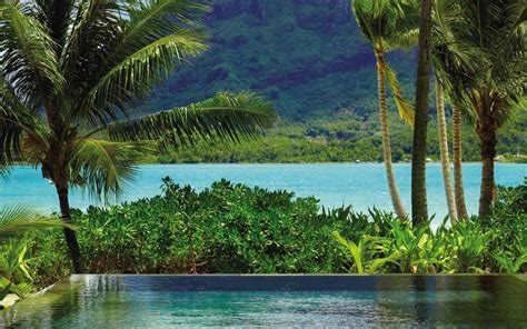 Basking in a breathtaking setting overlooking a each of the spacious overwater villas is stylishly decorated in soothing neutral shades and is. #Beautiful #Places #Photography (With images) | Beachfront ...
