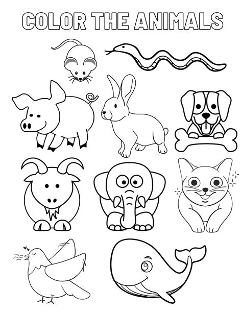 Animals Coloring Sheet Etsy