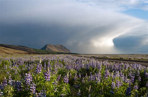 Hekla Vulkangebiet Island Foto And Bild Europe Scandinavia Iceland