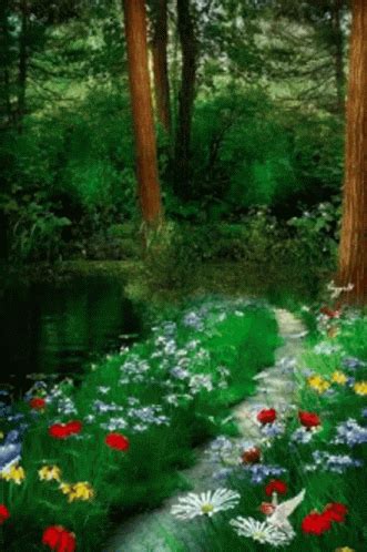 Nature Gif Nature Discover Share Gifs