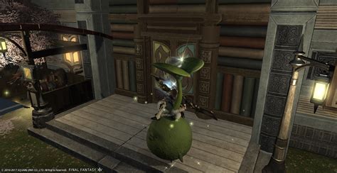 Hipster tastes have fueled a spike in succulent poaching. Hydeus Cantatherust Blog Entry `New GS mount - Korpokkur ...