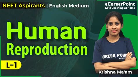 Human Reproduction Lecture 1 Xii Krishnaveni Ma Am Ecareerpoint English Medium Youtube