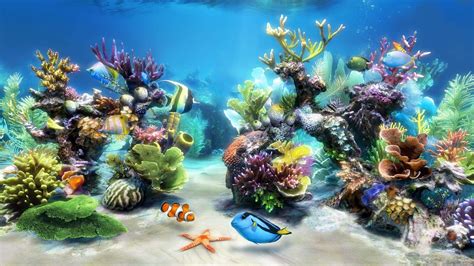 HD Aquarium Wallpapers Bigbeamng