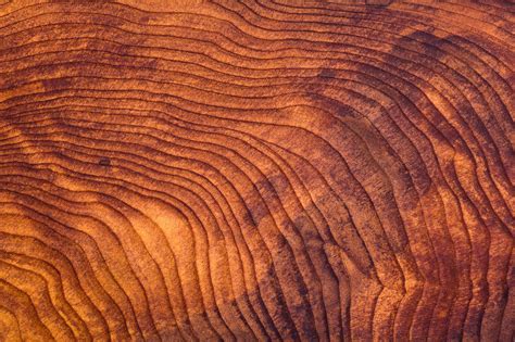 How Wood Products Could Lower The Cost Of Forest Management Public