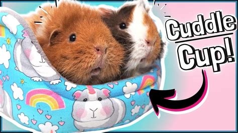Wood Guinea Pig Tunnel Tunnel For Guinea Pigs Pet Bed Cuddle Tunnel
