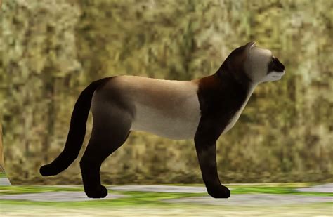 Mod The Sims Meet Rupert The Ferret Now With Rupert Jr