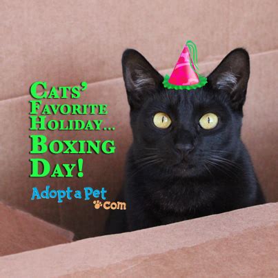 11 Best Boxing Day Images