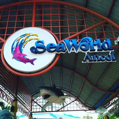 Tiket Masuk Dan Lokasi Seaworld Ancol November Wisata Oke