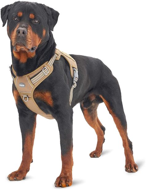 10 Best Dog Harness For Large Dogs That Pull Joypetproducts