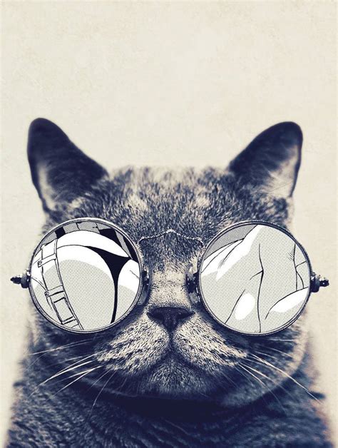 Hipster Cat Phone Wallpapers Top Free Hipster Cat Phone Backgrounds
