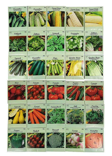Set Of 30 Pack Vegetable Seeds 30 Varieties Create A Deluxe Garden