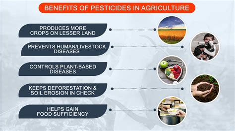 Use Of Pesticides In Agriculture