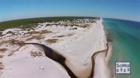 Maybe you would like to learn more about one of these? Grayton Beach State Park - YouTube