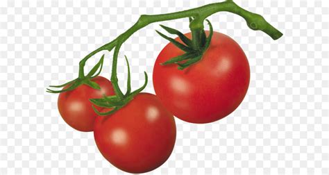 Cherry Tomato Roma Tomato Clip Art Tomato Png Png Download 3841