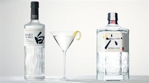 Differences Between Gin Vs Vodka And Their Similarities