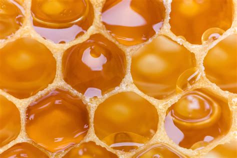 Honeycomb Bee2bee