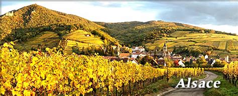 Compound of 訓 (kun, meaning) +‎ 読み (yomi, reading). Alsace・・・フランスワイン事典