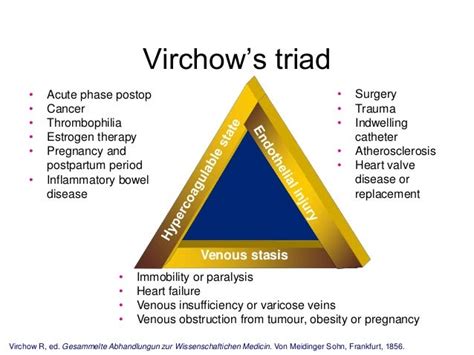 Venous Thromboembolism Vte Recent Advances In Reducing The Disease