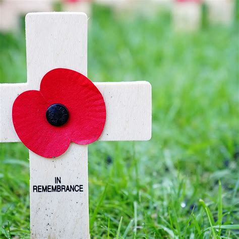Remembrance Day November 11 2023 National Today