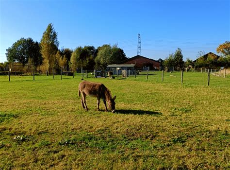 Wandeling Park Lingezegen En Landerij De Park Elst