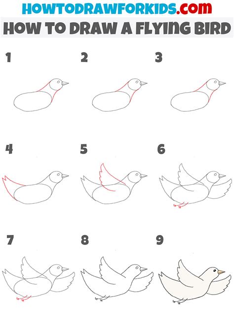 Flying Birds Drawing For Kids