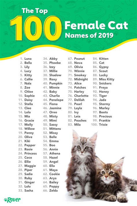 Is it the colour or the personality. 100 Top Male and Female Cat Names of 2019 | Girl cat names ...